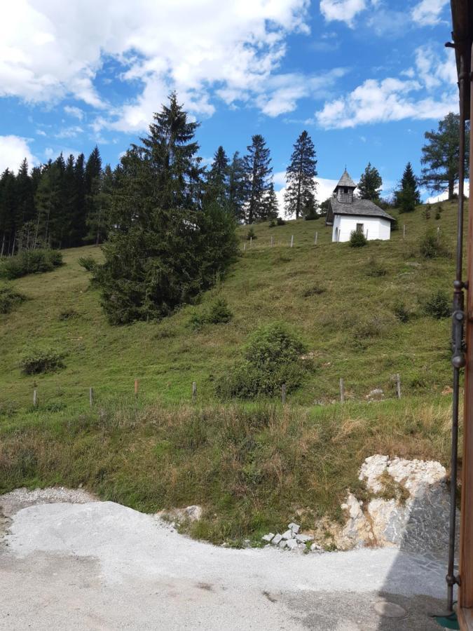 Sonnleit'N Zimmer 7 Abtenau Exterior foto