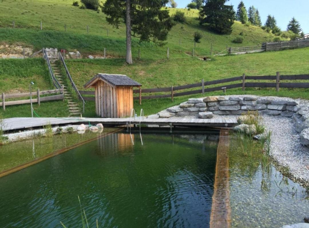 Sonnleit'N Zimmer 7 Abtenau Exterior foto